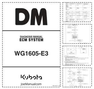 Kubota WG1605-E3 Engine ECM System Diagnosis Manual