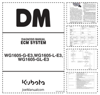 Kubota WG1605-G-E3 WG1605-L-E3 WG1605-GL-E3 ECM System Diagnosis Manual