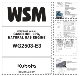 Kubota WG2503-E3 Gasoline LPG NG Engine Workshop Manual