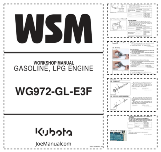 Kubota WG972-GL-E3F Gasoline LPG Engine Workshop Manual