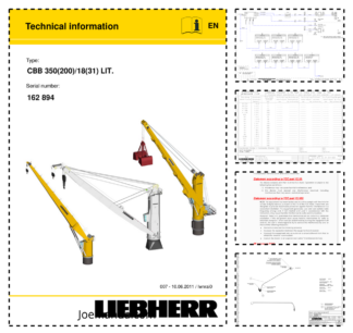 Liebherr CBB 350(200) 18(31) Litronic Crane Service Training Manual SN 162894