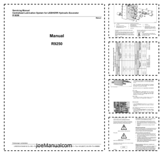 Liebherr R9250 Excavator Central Librication System Service Manual