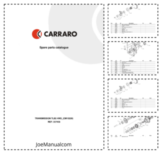 Carraro TLB2 4WD Transmission Parts Catalog CM13220