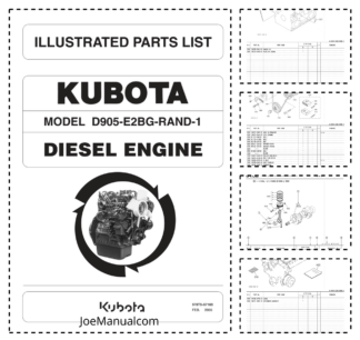 Kubota D905-E2BG-RAND-1 Engine Parts Catalog